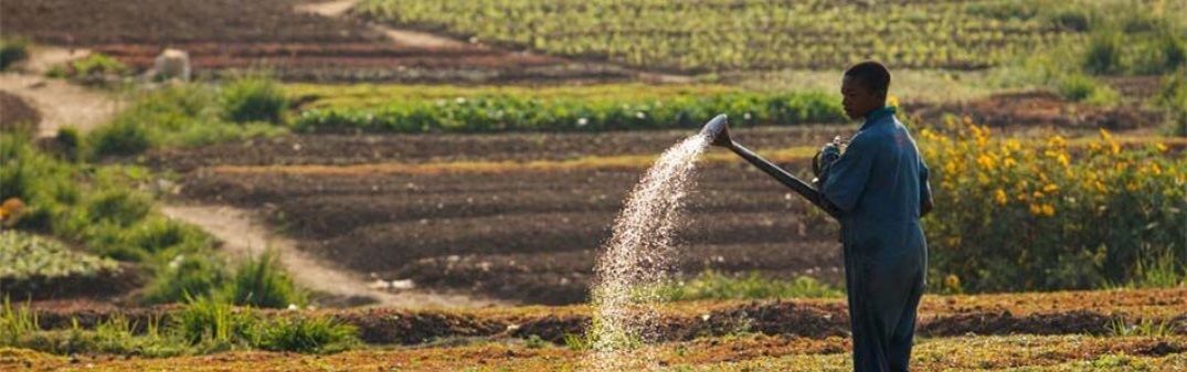 Protection de l'environnement