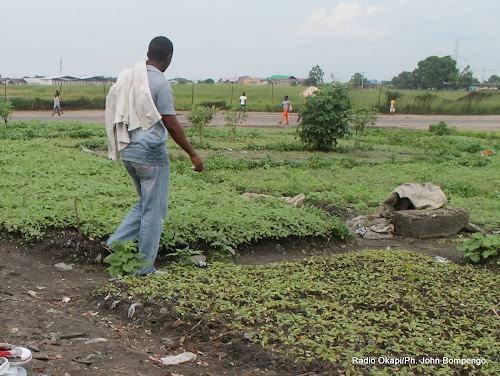 Cultivatrices en action