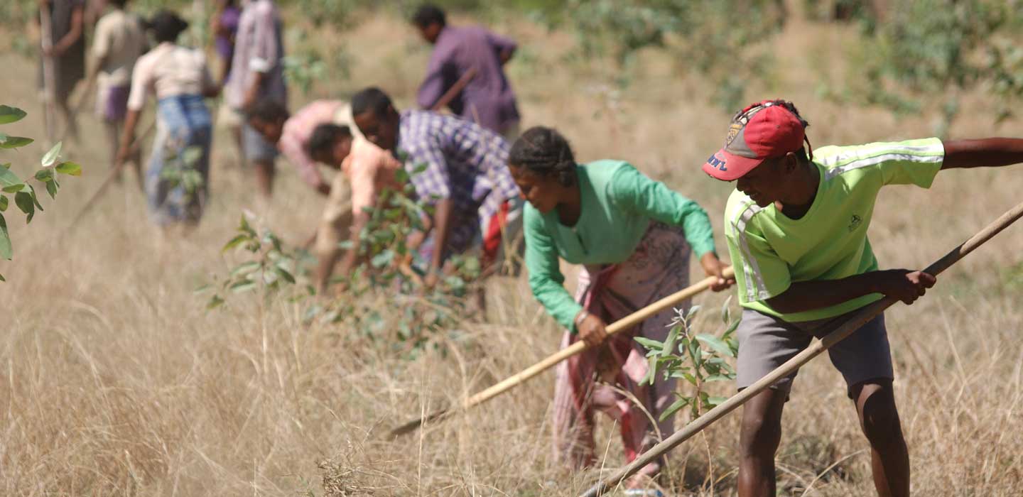 Securite alimentaire et moyens de subsistance